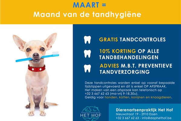MAART = maand van de TANDHYGIËNE